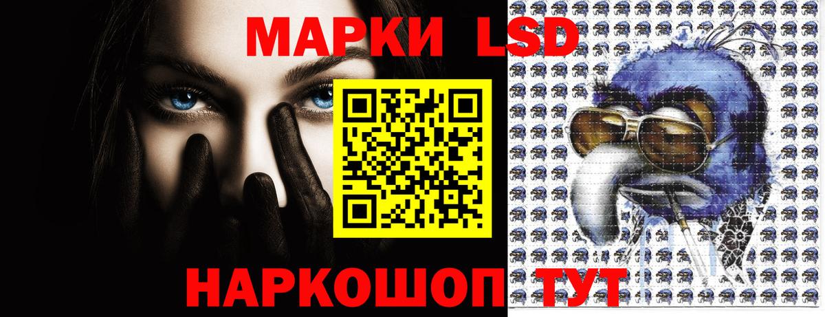 дарнет шоп  Вход с VPN  Камень-на-Оби  Марки 25I-NBOMe 1,5мг 