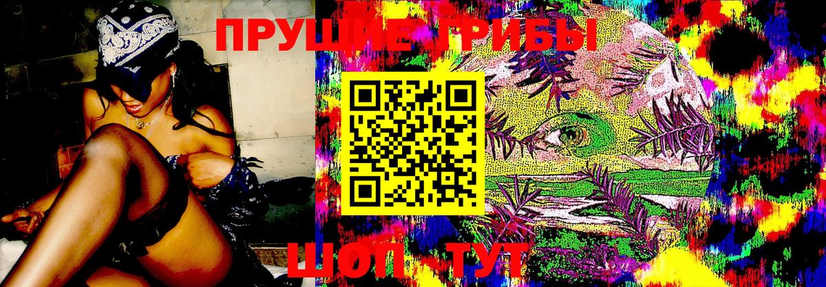 Галлюциногенные грибы мухоморы  Вход с VPN  Камень-на-Оби  Галлюциногенные грибы Psilocybe 
